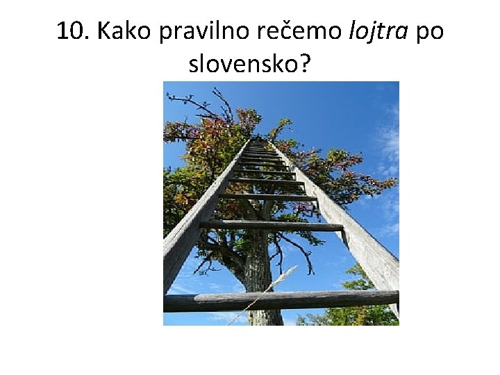 10. Kako pravilno rečemo lojtra po slovensko? 