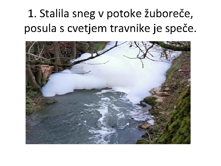 1. Stalila sneg v potoke žuboreče, posula s cvetjem travnike je speče. 