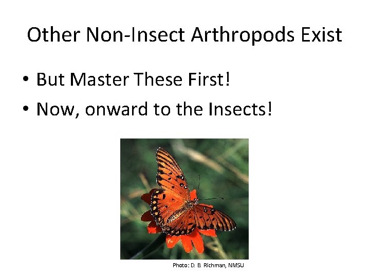 Other Non-Insect Arthropods Exist • But Master These First! • Now, onward to the