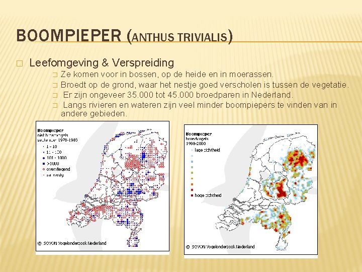 BOOMPIEPER (ANTHUS TRIVIALIS) � Leefomgeving & Verspreiding � � Ze komen voor in bossen,