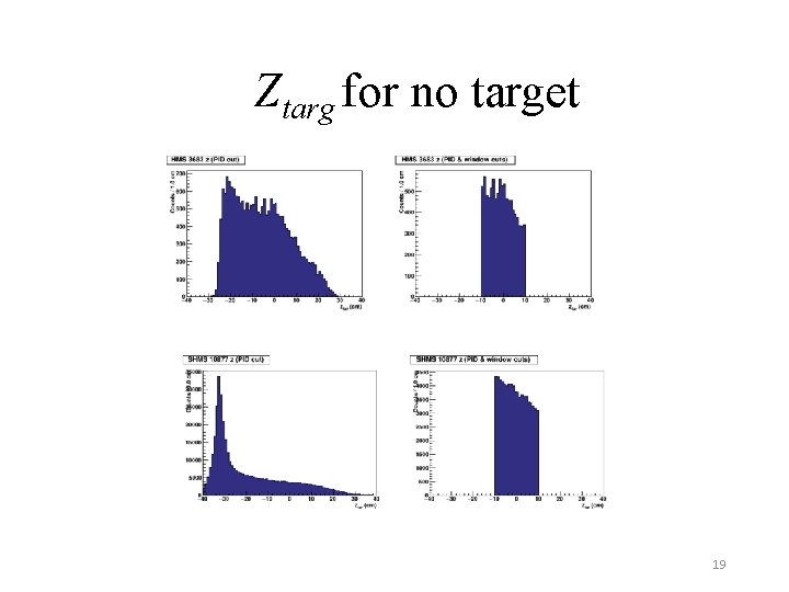 Ztarg for no target 19 