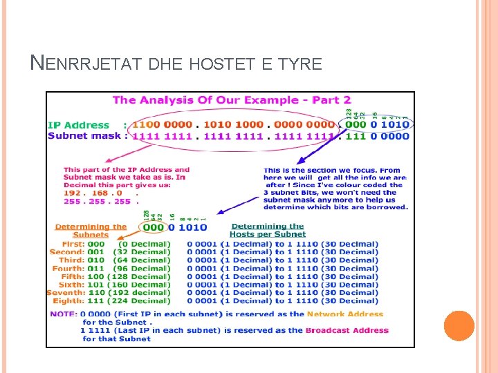 NENRRJETAT DHE HOSTET E TYRE NENRRJETAT DHE HOSTET E TYRE