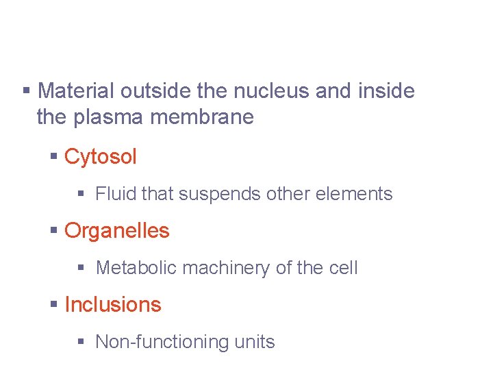 Cytoplasm § Material outside the nucleus and inside the plasma membrane § Cytosol §