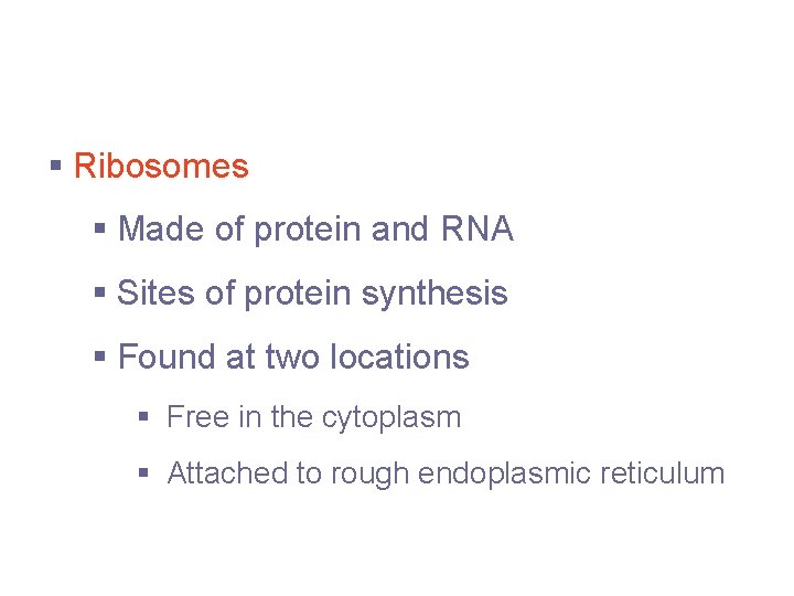 Cytoplasmic Organelles § Ribosomes § Made of protein and RNA § Sites of protein