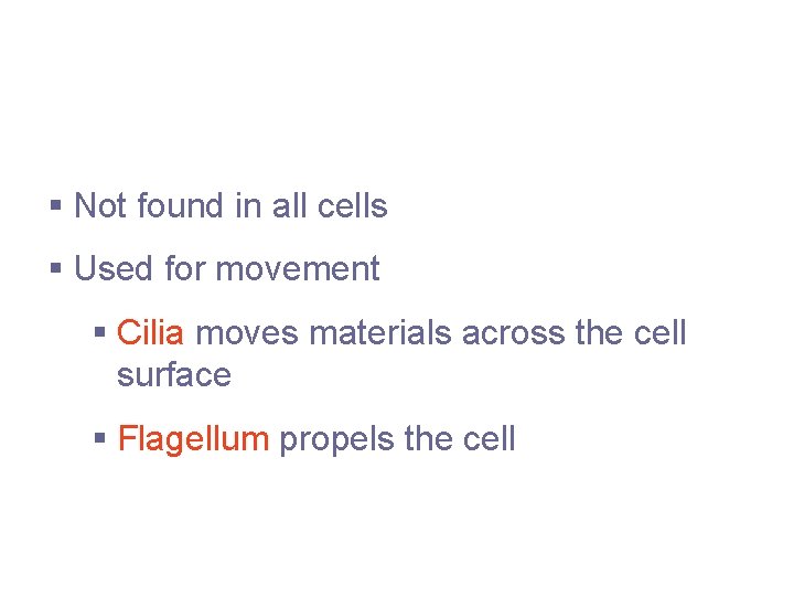 Cellular Projections § Not found in all cells § Used for movement § Cilia