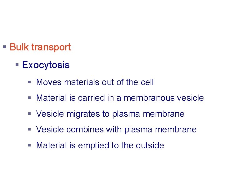 Active Transport Processes § Bulk transport § Exocytosis § Moves materials out of the