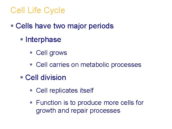 Cell Life Cycle § Cells have two major periods § Interphase § Cell grows