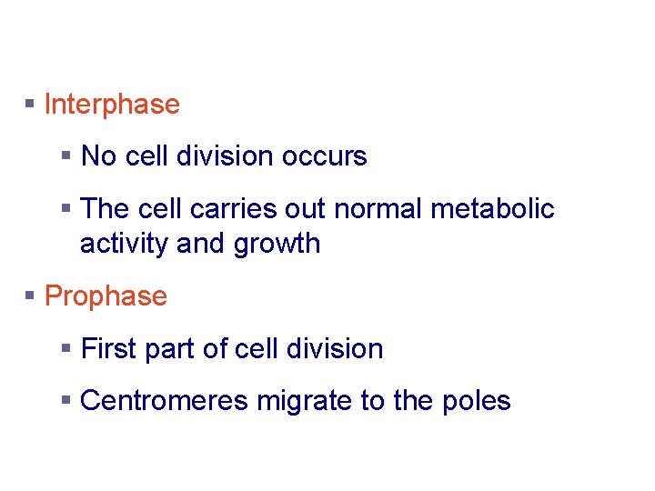 Stages of Mitosis § Interphase § No cell division occurs § The cell carries