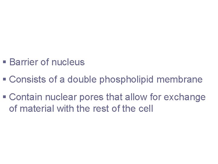 Nuclear Membrane § Barrier of nucleus § Consists of a double phospholipid membrane §