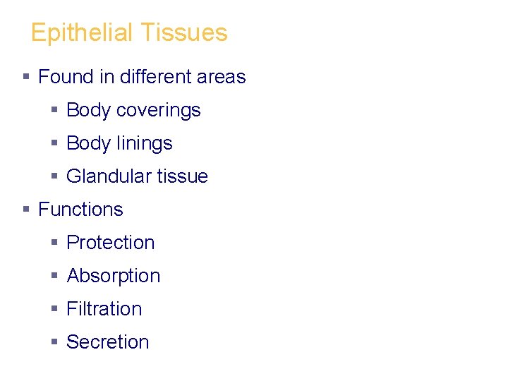 Epithelial Tissues § Found in different areas § Body coverings § Body linings §