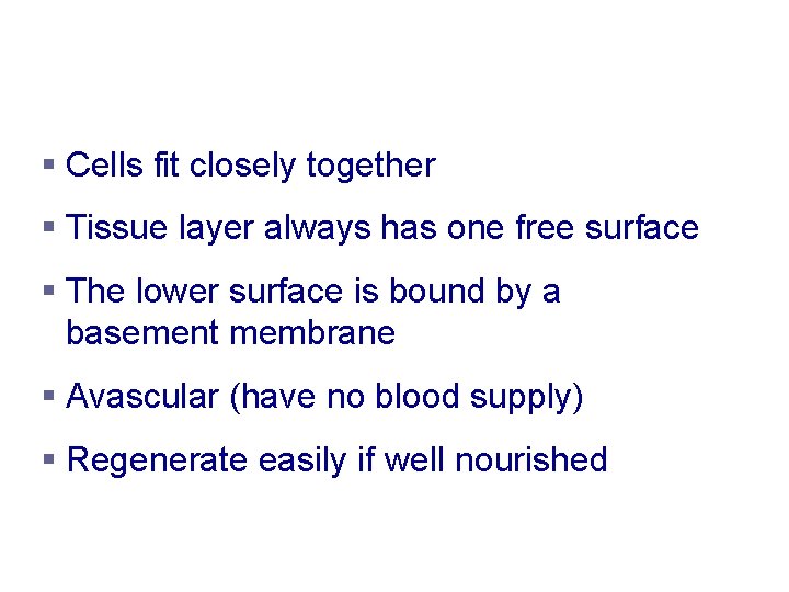 Epithelium Characteristics § Cells fit closely together § Tissue layer always has one free