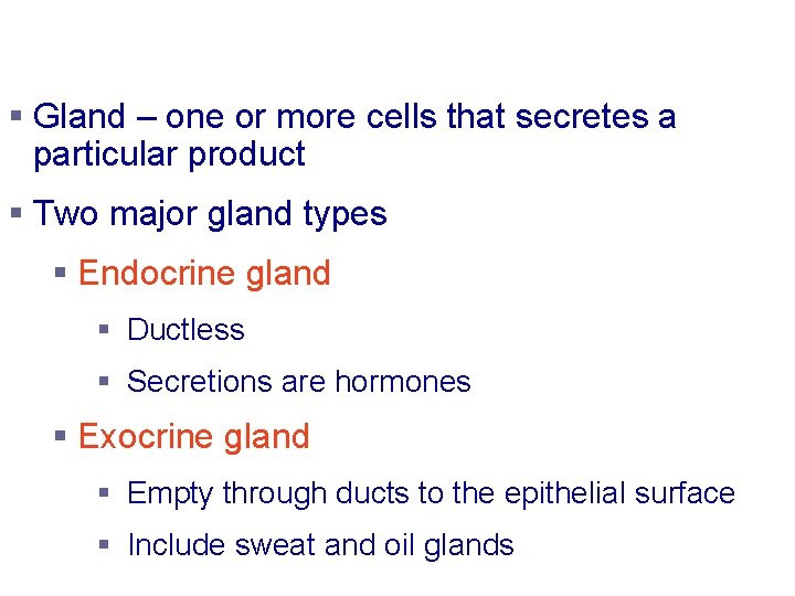 Glandular Epithelium § Gland – one or more cells that secretes a particular product