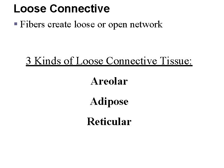 Loose Connective § Fibers create loose or open network 3 Kinds of Loose Connective