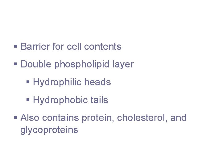 Plasma Membrane § Barrier for cell contents § Double phospholipid layer § Hydrophilic heads