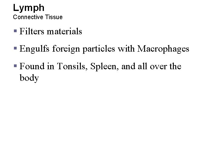 Lymph Connective Tissue § Filters materials § Engulfs foreign particles with Macrophages § Found