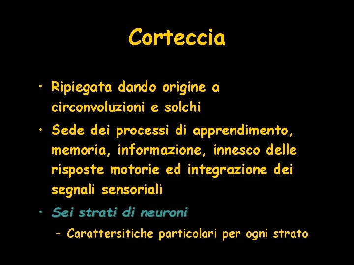 Corteccia • Ripiegata dando origine a circonvoluzioni e solchi • Sede dei processi di
