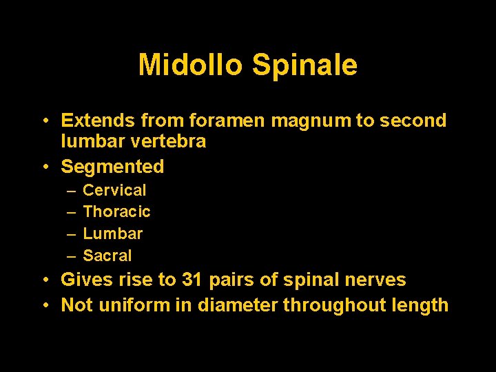 Midollo Spinale • Extends from foramen magnum to second lumbar vertebra • Segmented –