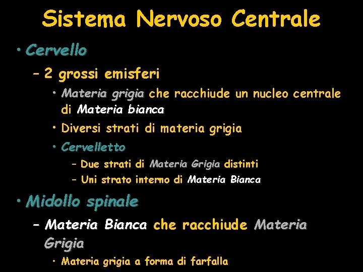 Sistema Nervoso Centrale • Cervello – 2 grossi emisferi • Materia grigia che racchiude
