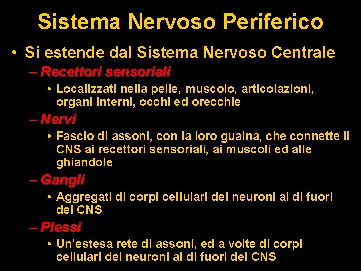 Sistema Nervoso Periferico • Si estende dal Sistema Nervoso Centrale – Recettori sensoriali •