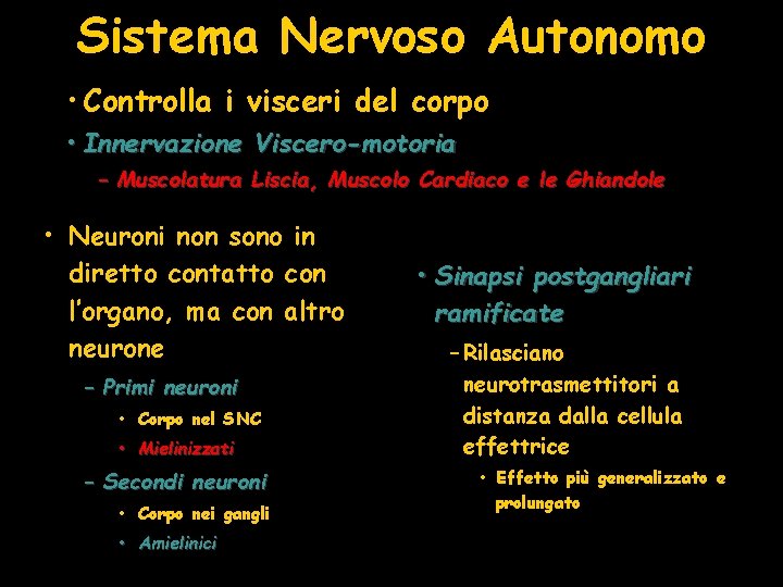 Sistema Nervoso Autonomo • Controlla i visceri del corpo • Innervazione Viscero-motoria – Muscolatura