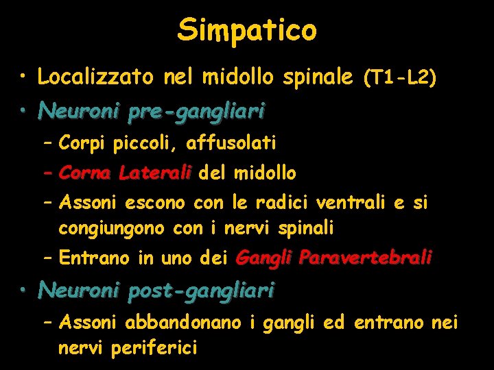 Simpatico • Localizzato nel midollo spinale (T 1 -L 2) • Neuroni pre-gangliari –
