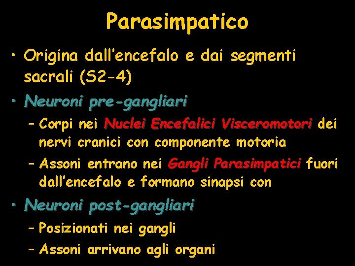 Parasimpatico • Origina dall’encefalo e dai segmenti sacrali (S 2 -4) • Neuroni pre-gangliari