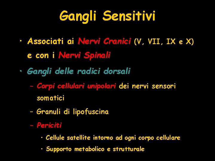 Gangli Sensitivi • Associati ai Nervi Cranici (V, VII, IX e X) e con