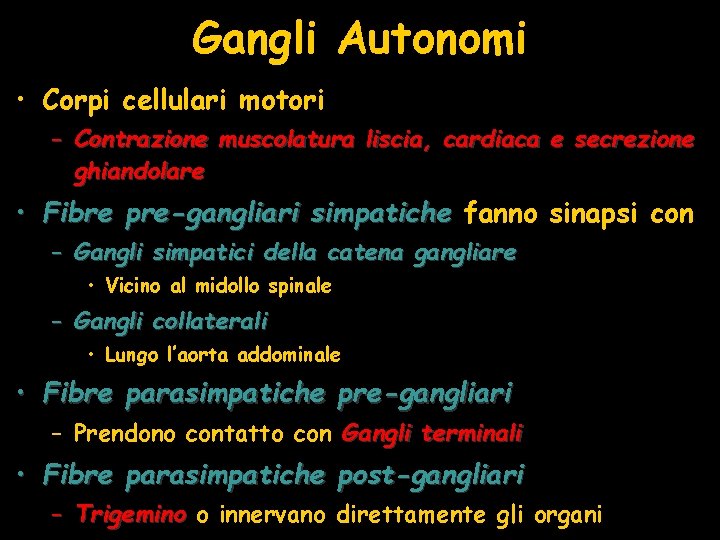 Gangli Autonomi • Corpi cellulari motori – Contrazione muscolatura liscia, cardiaca e secrezione ghiandolare
