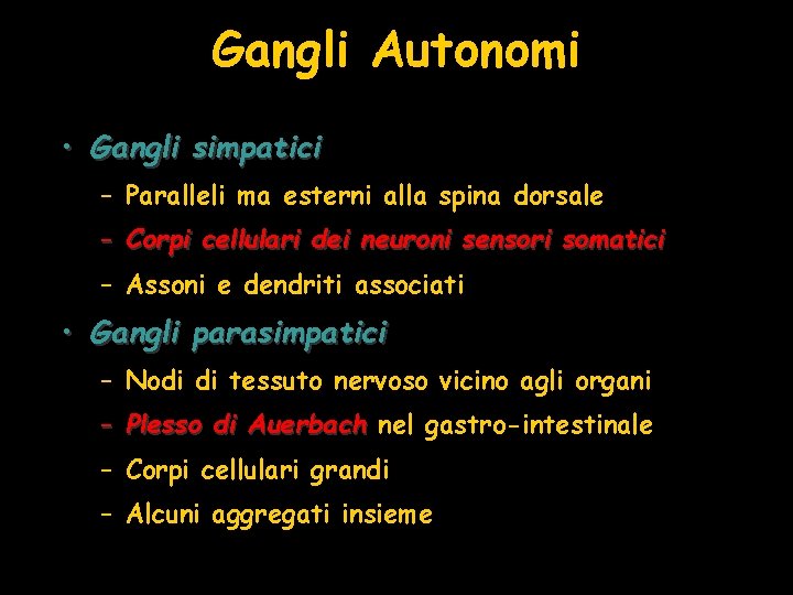 Gangli Autonomi • Gangli simpatici – Paralleli ma esterni alla spina dorsale – Corpi