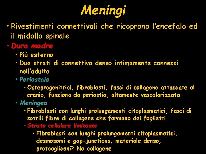 Meningi • Rivestimenti connettivali che ricoprono l’encefalo ed il midollo spinale • Dura madre