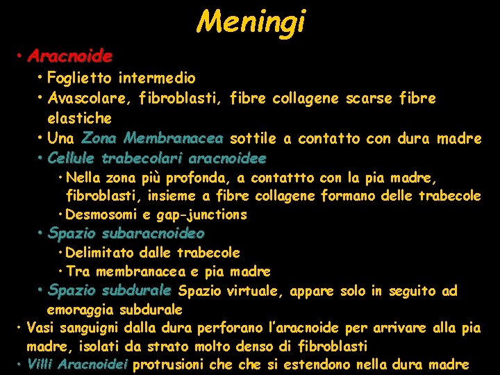 Meningi • Aracnoide • Foglietto intermedio • Avascolare, fibroblasti, fibre collagene scarse fibre elastiche