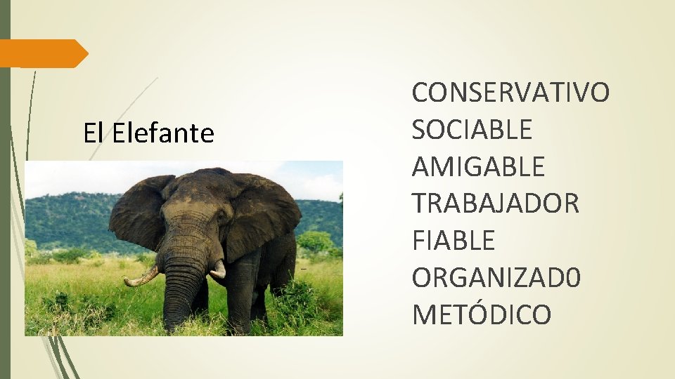 El Elefante CONSERVATIVO SOCIABLE AMIGABLE TRABAJADOR FIABLE ORGANIZAD 0 METÓDICO 