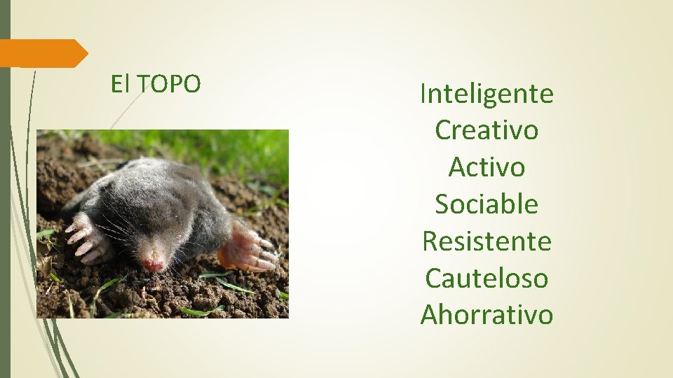 El TOPO Inteligente Creativo Activo Sociable Resistente Cauteloso Ahorrativo 