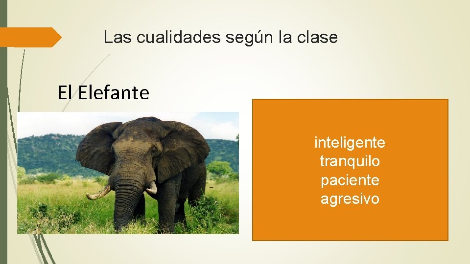 Las cualidades según la clase El Elefante inteligente tranquilo paciente agresivo 