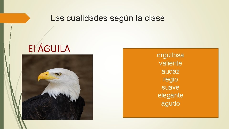 Las cualidades según la clase El ÁGUILA orgullosa valiente audaz regio suave elegante agudo