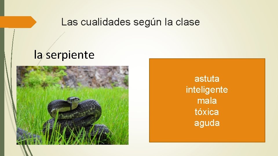 Las cualidades según la clase la serpiente astuta inteligente mala tóxica aguda 