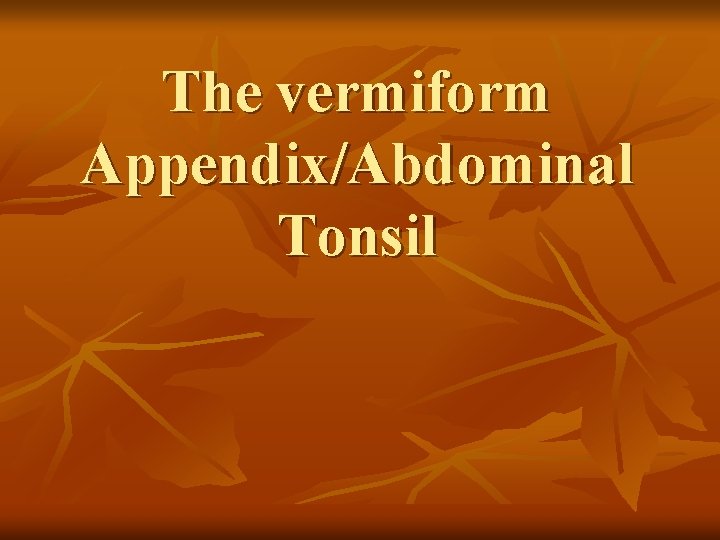 The vermiform Appendix/Abdominal Tonsil 