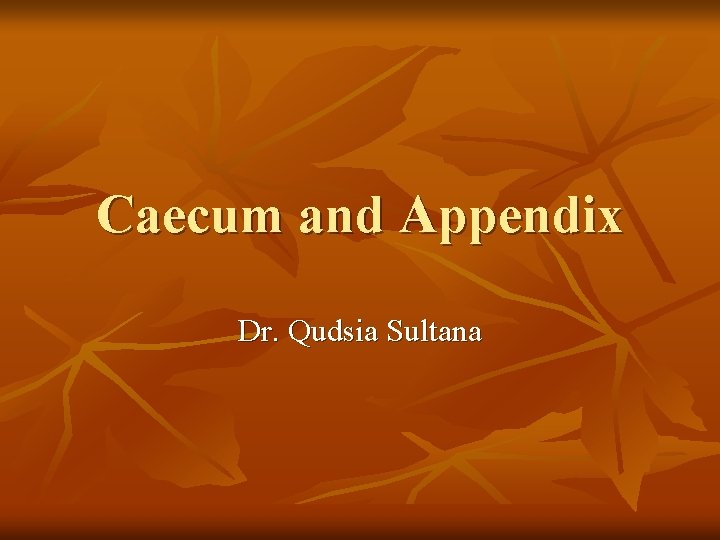 Caecum and Appendix Dr. Qudsia Sultana 