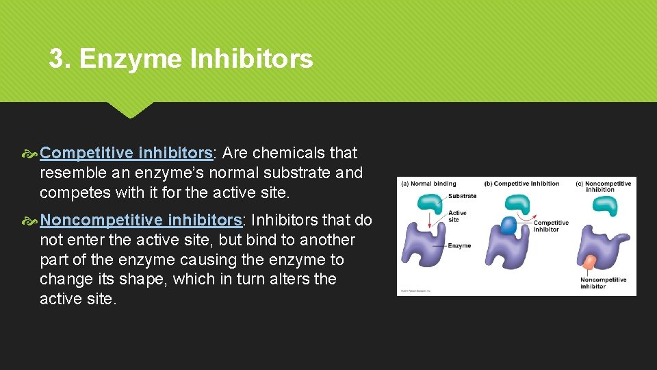 3. Enzyme Inhibitors Competitive inhibitors: Are chemicals that resemble an enzyme’s normal substrate and