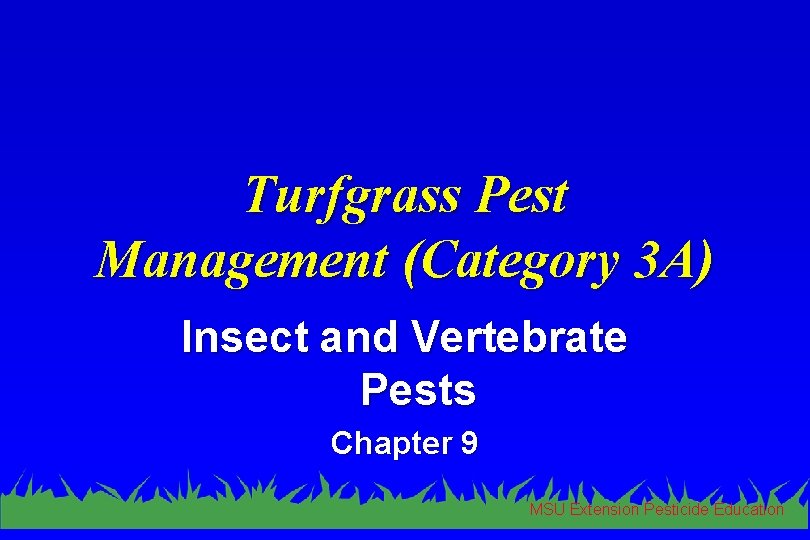 Turfgrass Pest Management (Category 3 A) Insect and Vertebrate Pests Chapter 9 MSU Extension