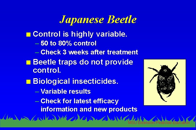 Japanese Beetle n Control is highly variable. – 50 to 80% control – Check