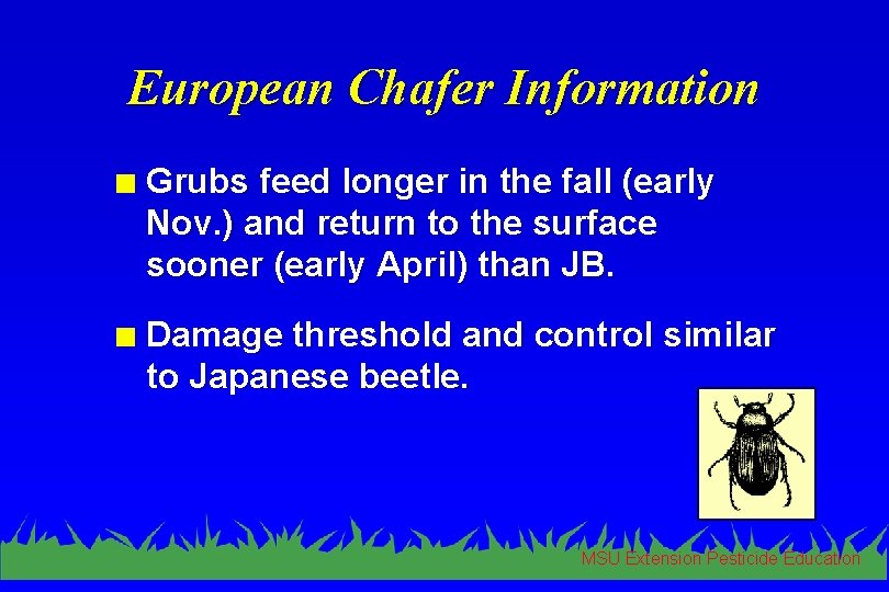 European Chafer Information n Grubs feed longer in the fall (early Nov. ) and