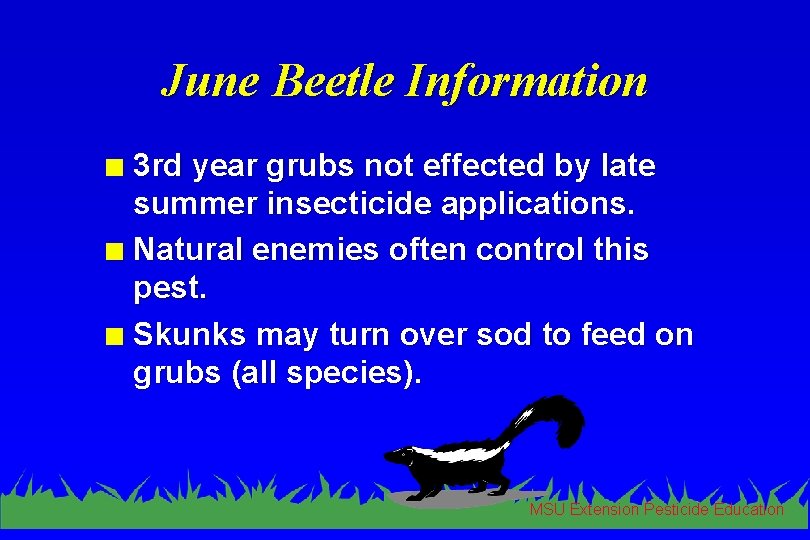 June Beetle Information 3 rd year grubs not effected by late summer insecticide applications.