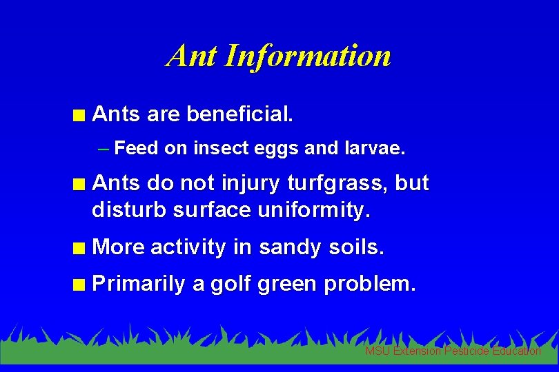 Ant Information n Ants are beneficial. – Feed on insect eggs and larvae. n
