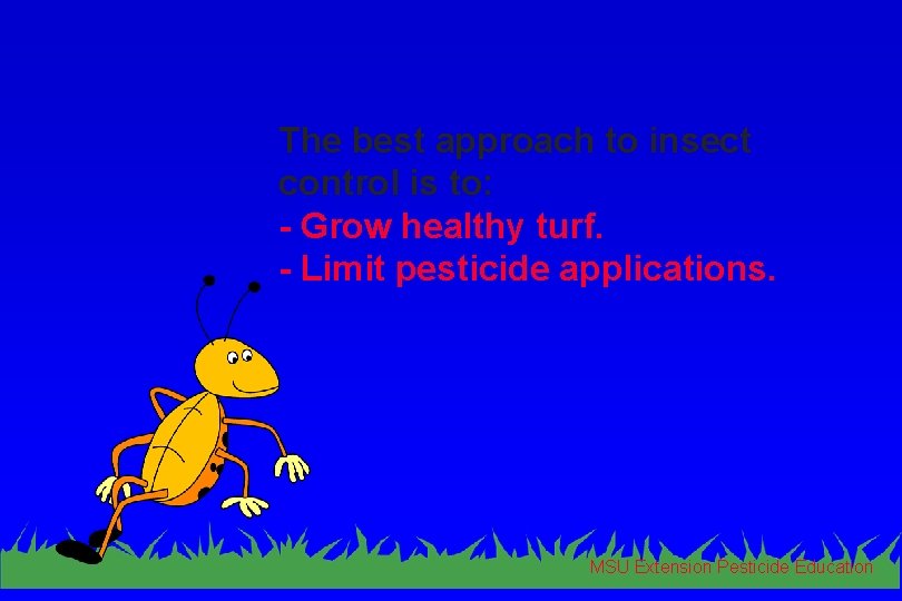 The best approach to insect control is to: - Grow healthy turf. - Limit