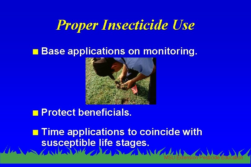 Proper Insecticide Use n Base applications on monitoring. n Protect beneficials. n Time applications