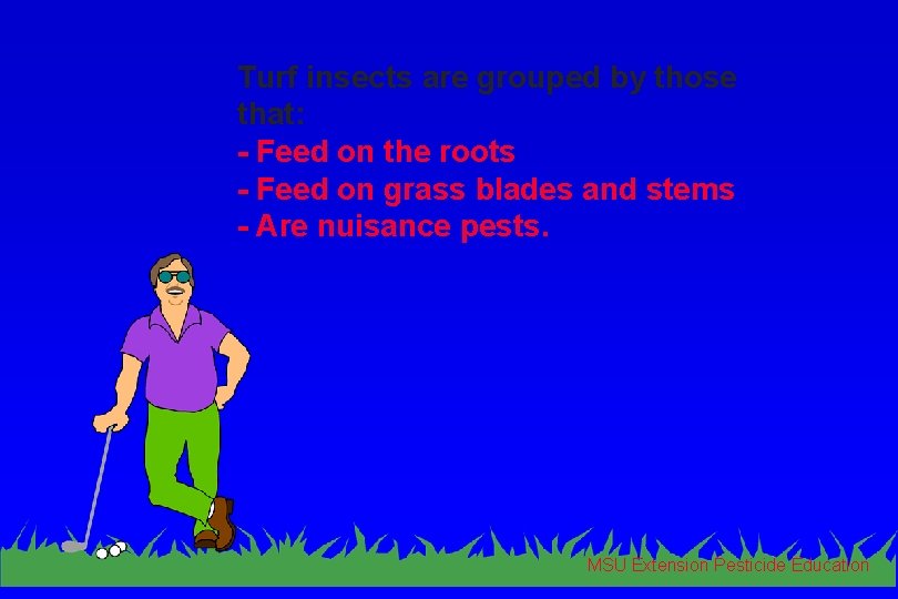 Turf insects are grouped by those that: - Feed on the roots - Feed