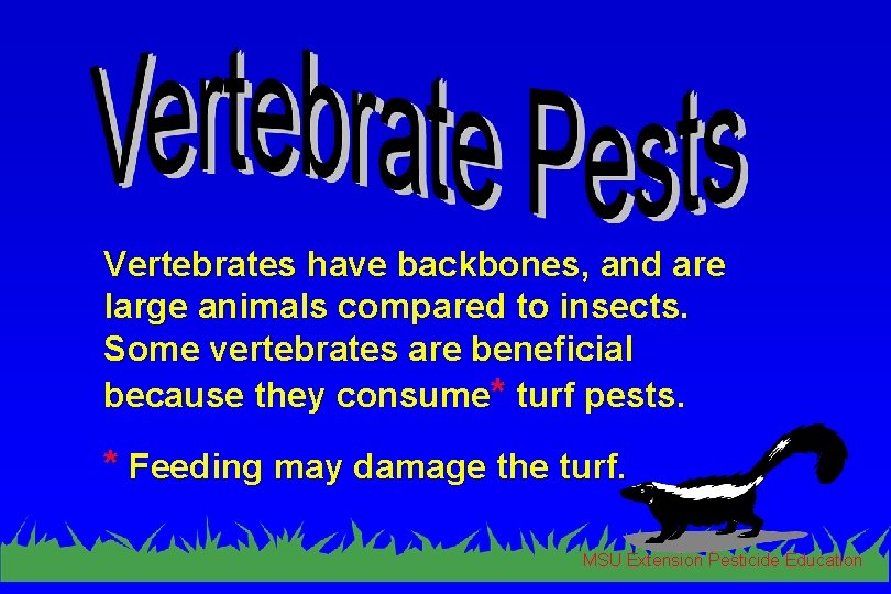 Vertebrates have backbones, and are large animals compared to insects. Some vertebrates are beneficial