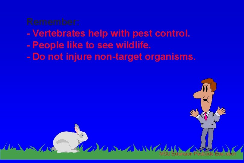 Remember: - Vertebrates help with pest control. - People like to see wildlife. -