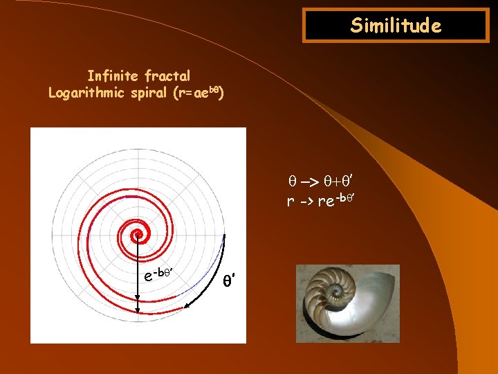 Similitude Infinite fractal Logarithmic spiral (r=aebq) q -> q+q’ r -> re-bq’ q’ 